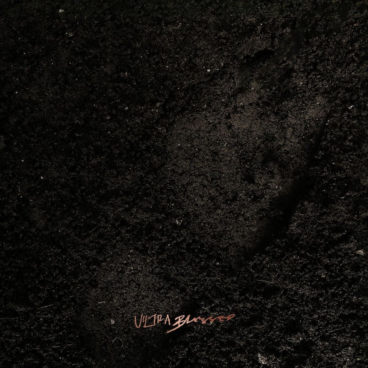Album cover of INFINITE FXX: ULTRA BLESSED VOL.1