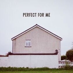 Cover of Perfect For Me (Orchestral Version)