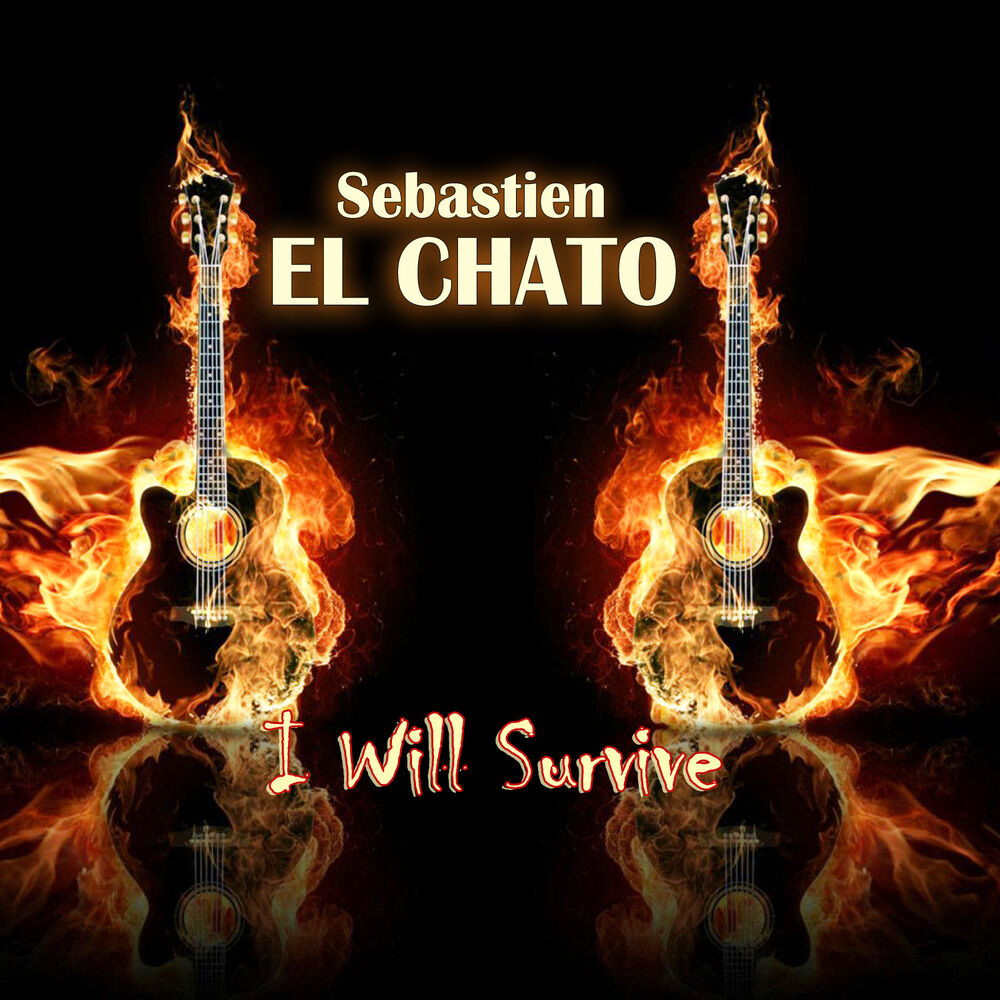 Picture of I Will Survive