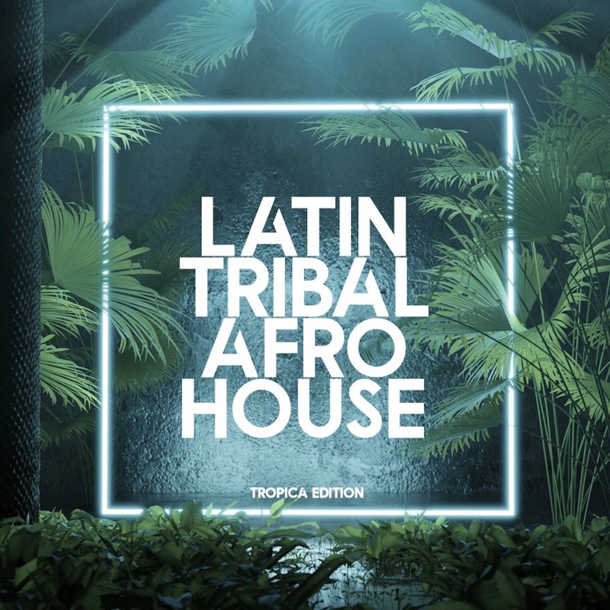 Album cover of Latin Tribal Afro House