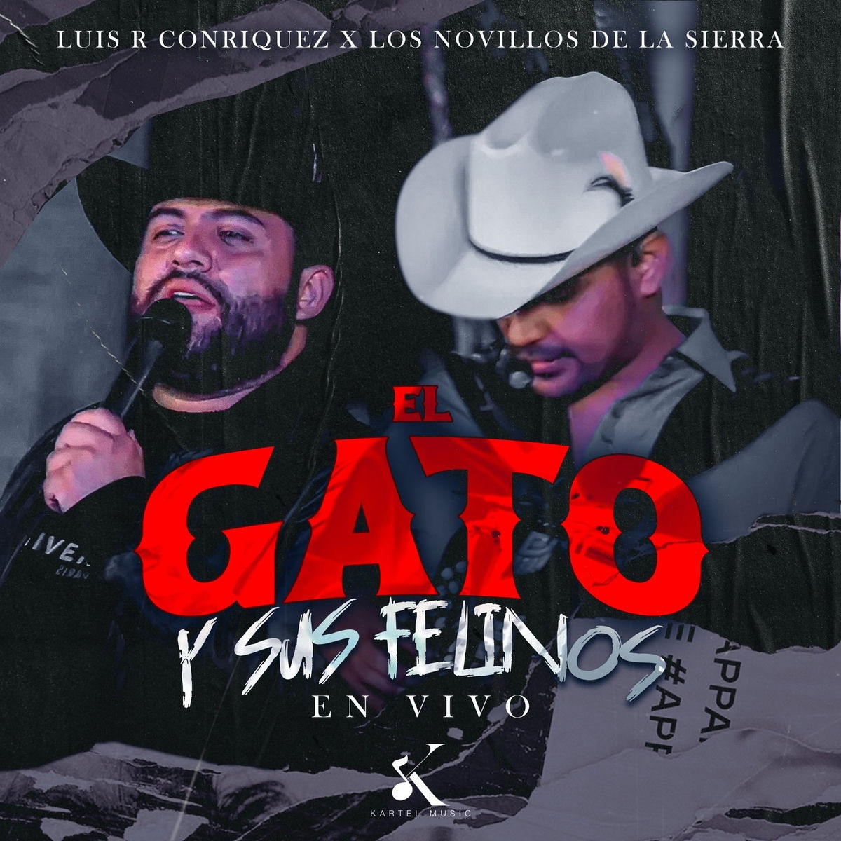 Album cover of El Gato y Sus Felinos (En Vivo)