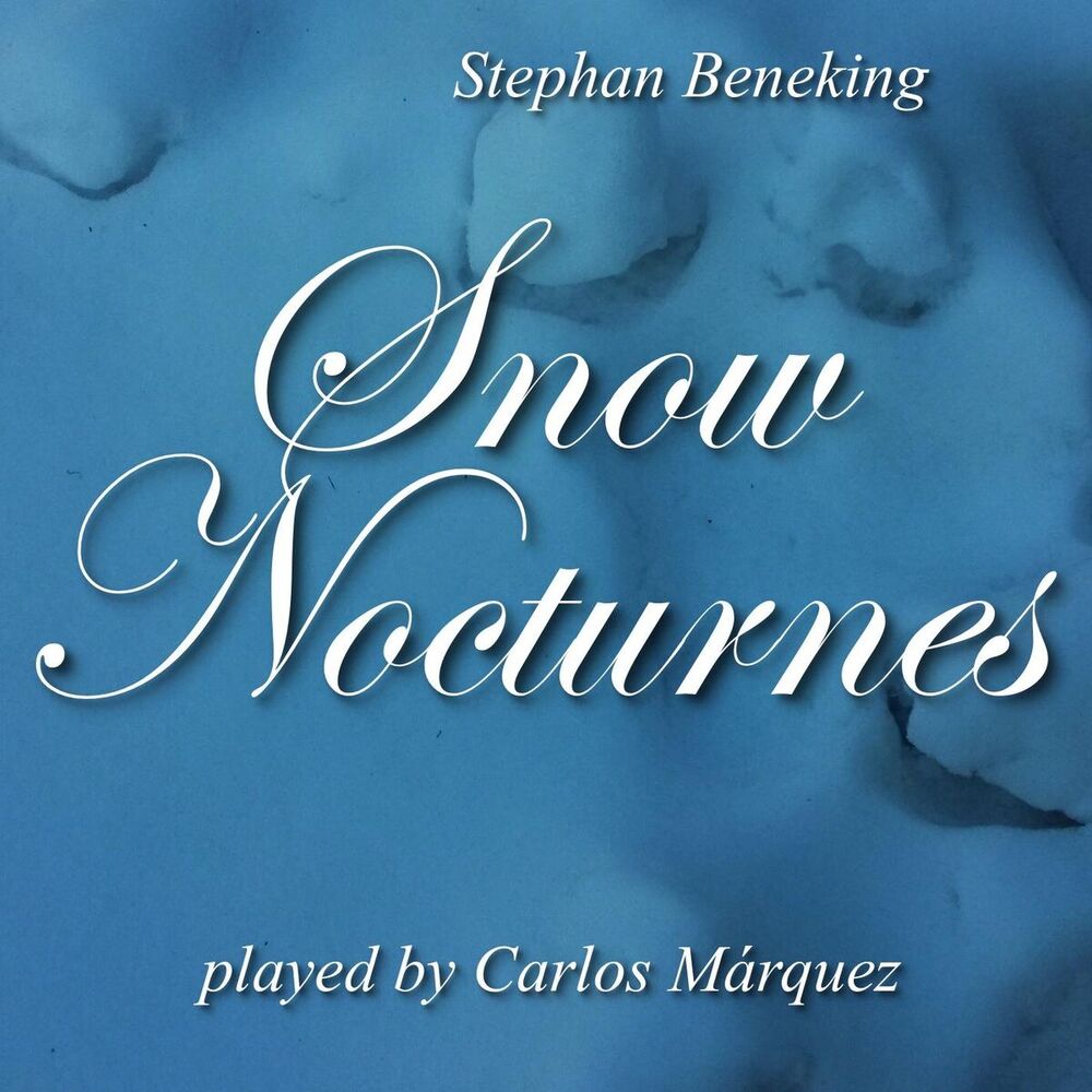 Picture of Snow Nocturnes