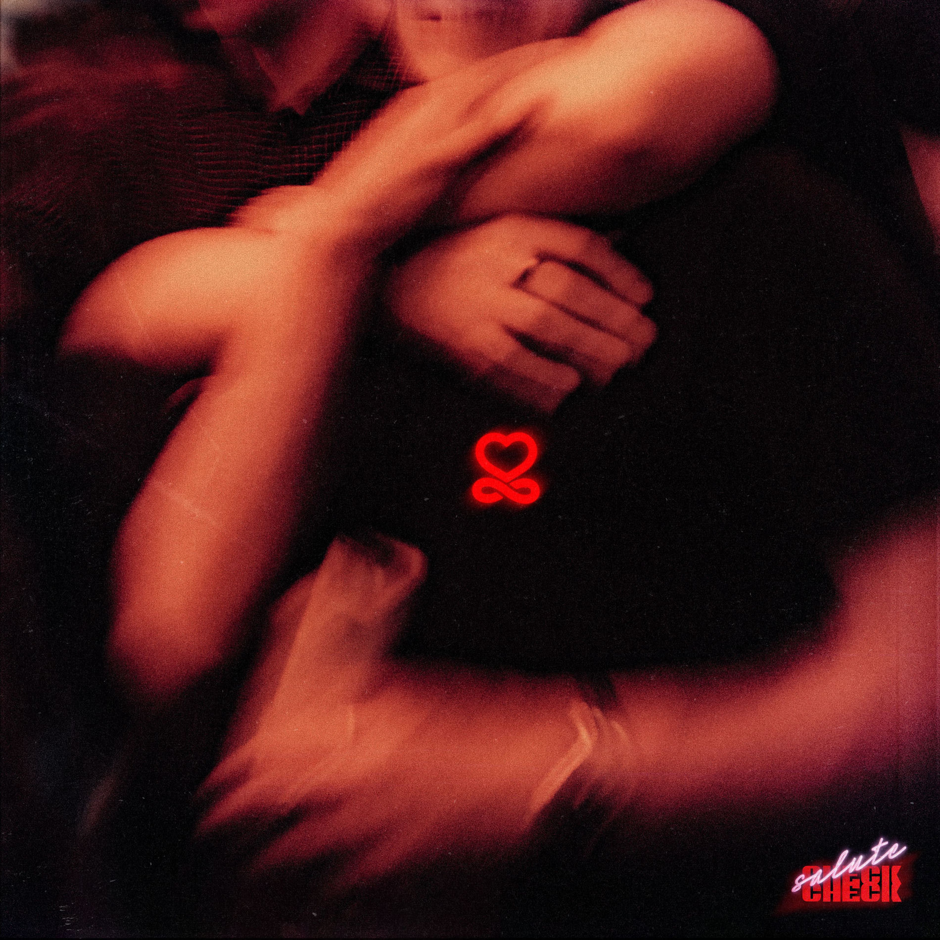 Album cover of Check Check