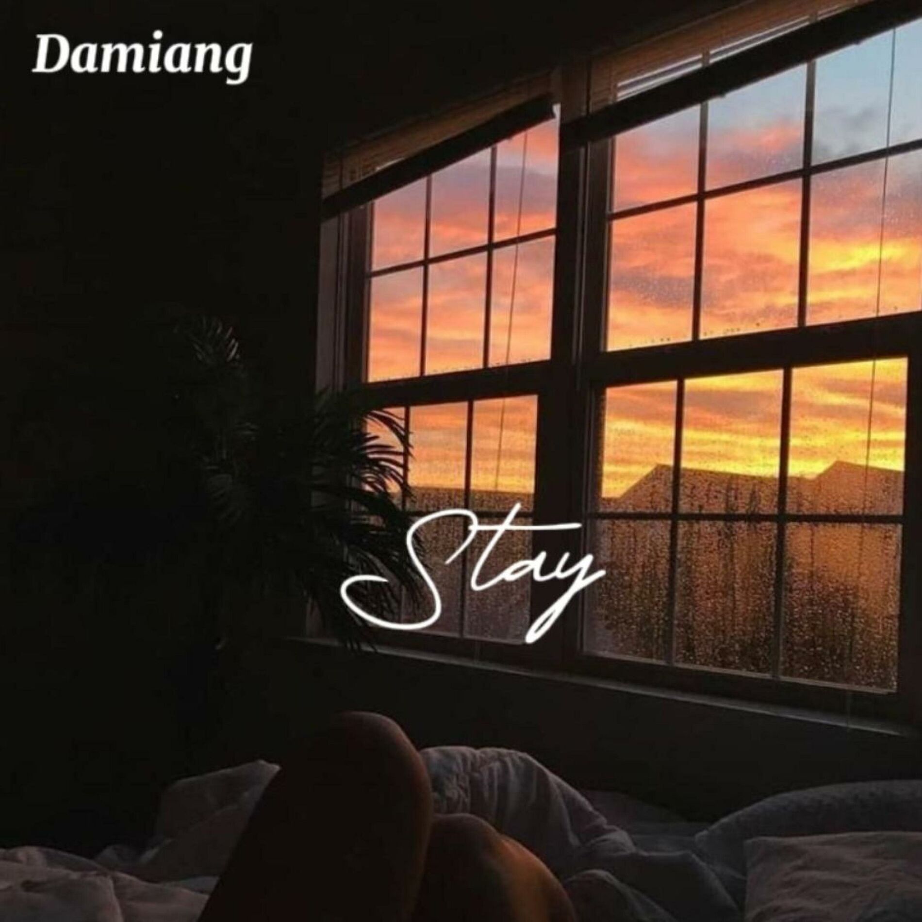 Album cover of Stay (Radio Edit)