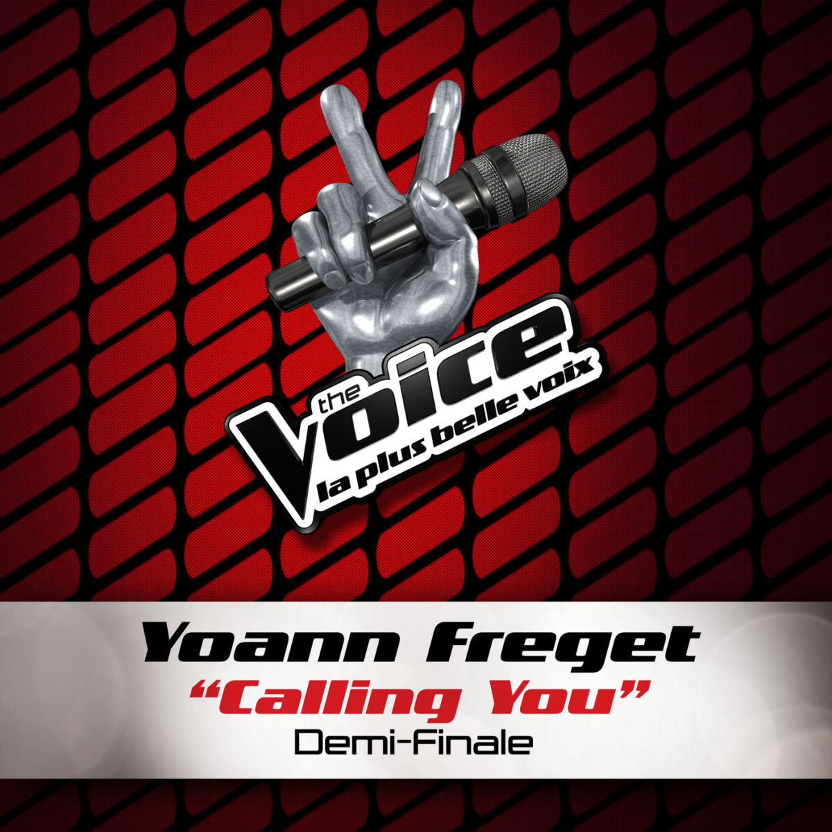 Album cover of Calling You - The Voice 2