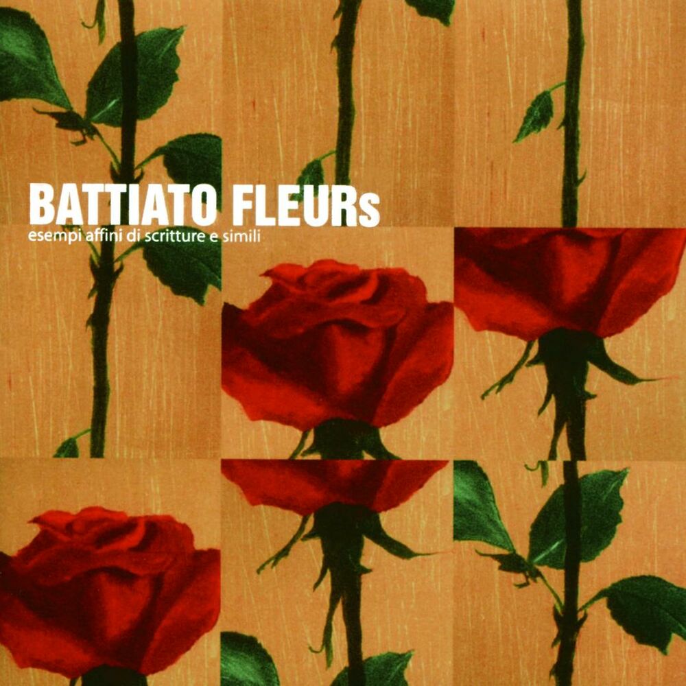 Picture of Fleurs