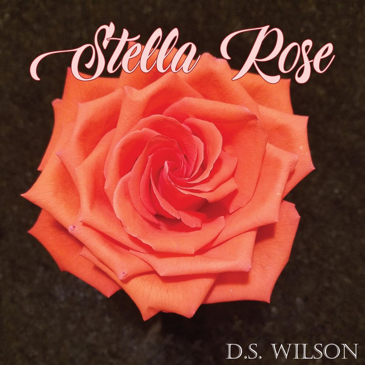 Album cover of Stella Rose