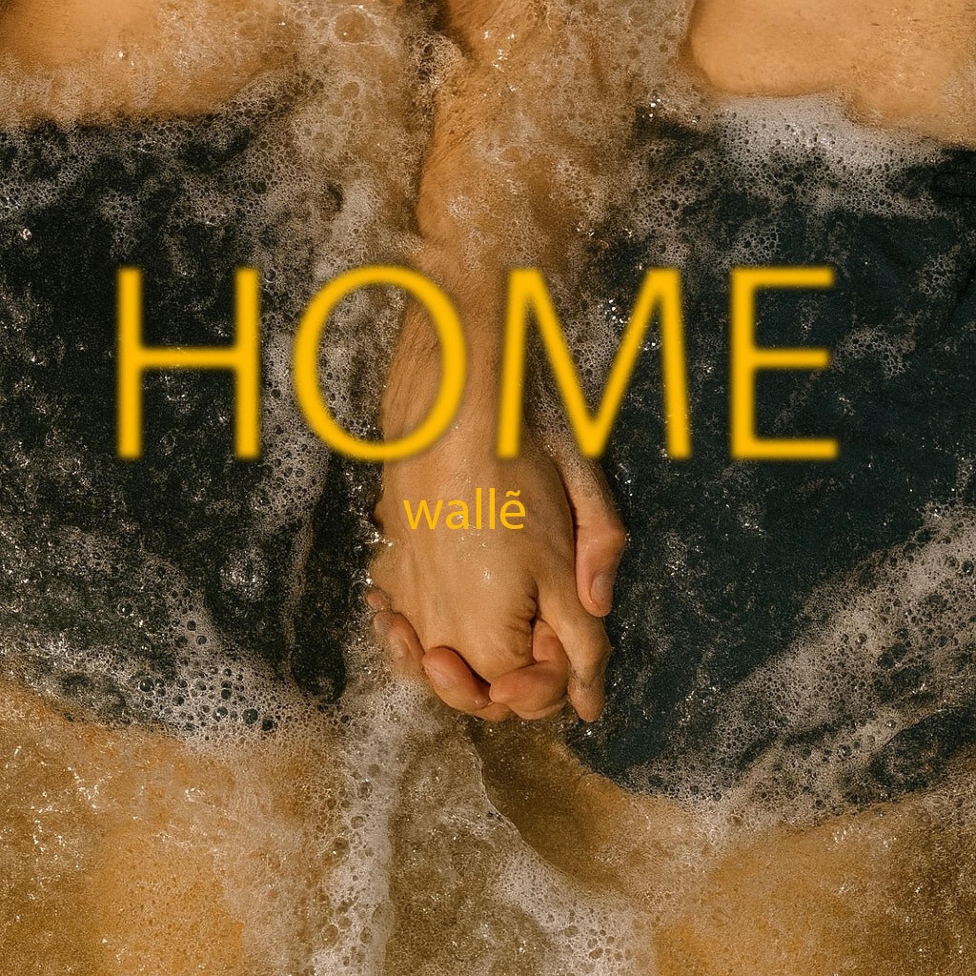 Album cover of HOME