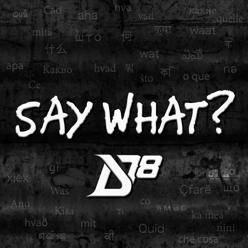 Picture of Say What