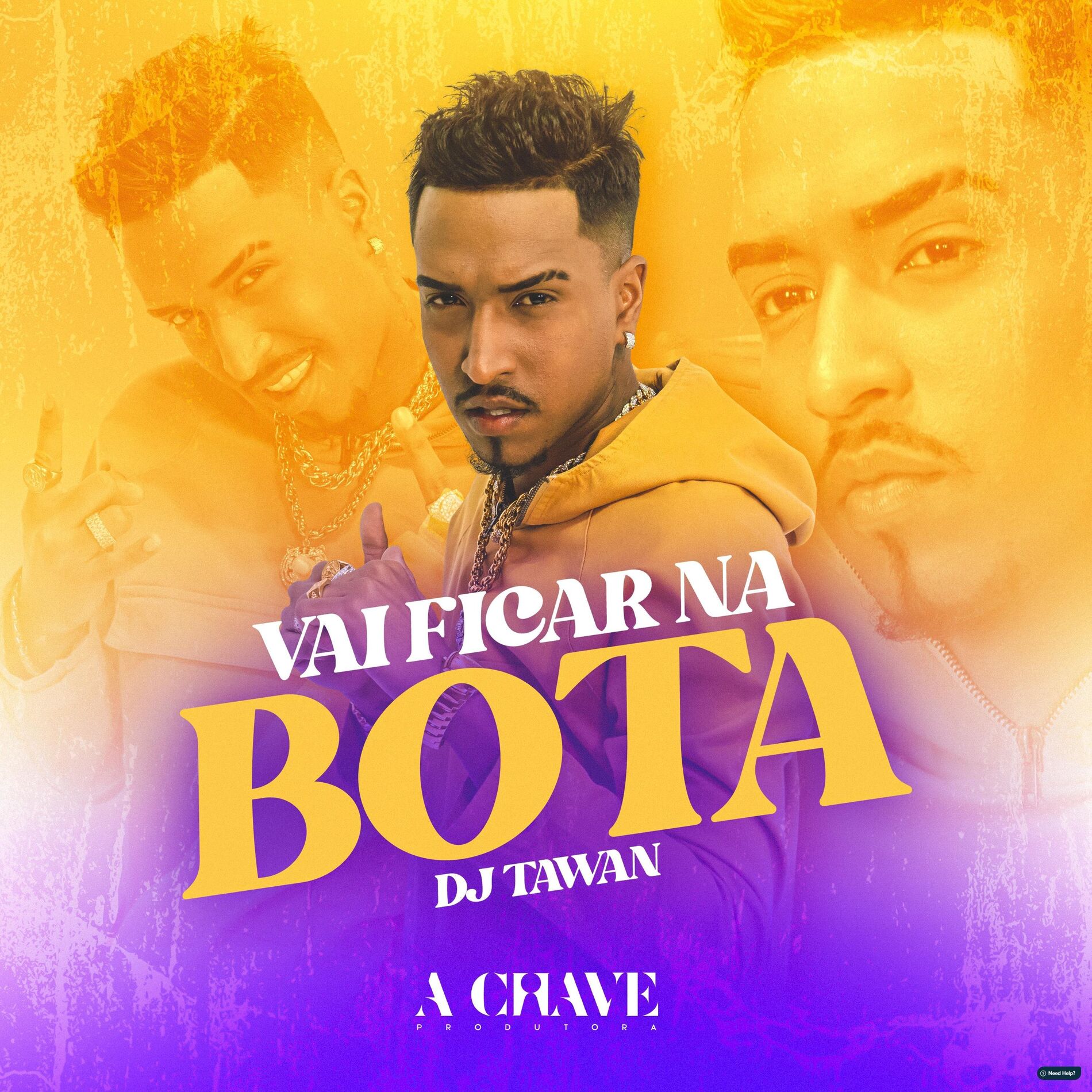 Album cover of Vai Ficar na Bota