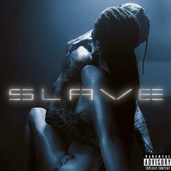 Cover of Slave