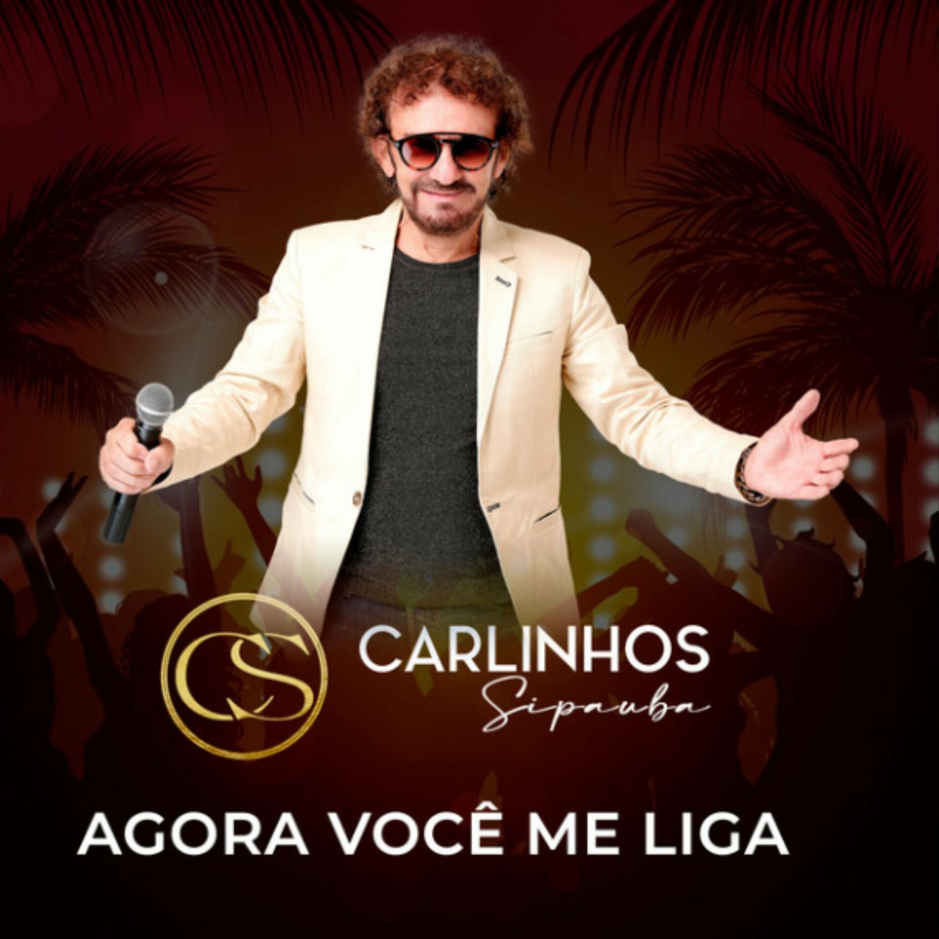 Album cover of Agora Você Me Liga