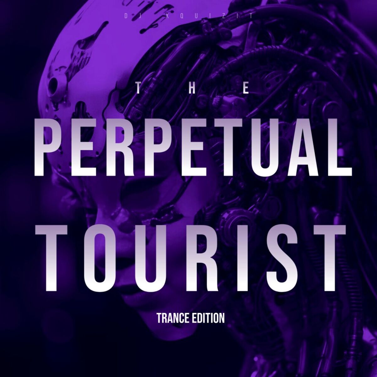 Album cover of Perpetual Tourist