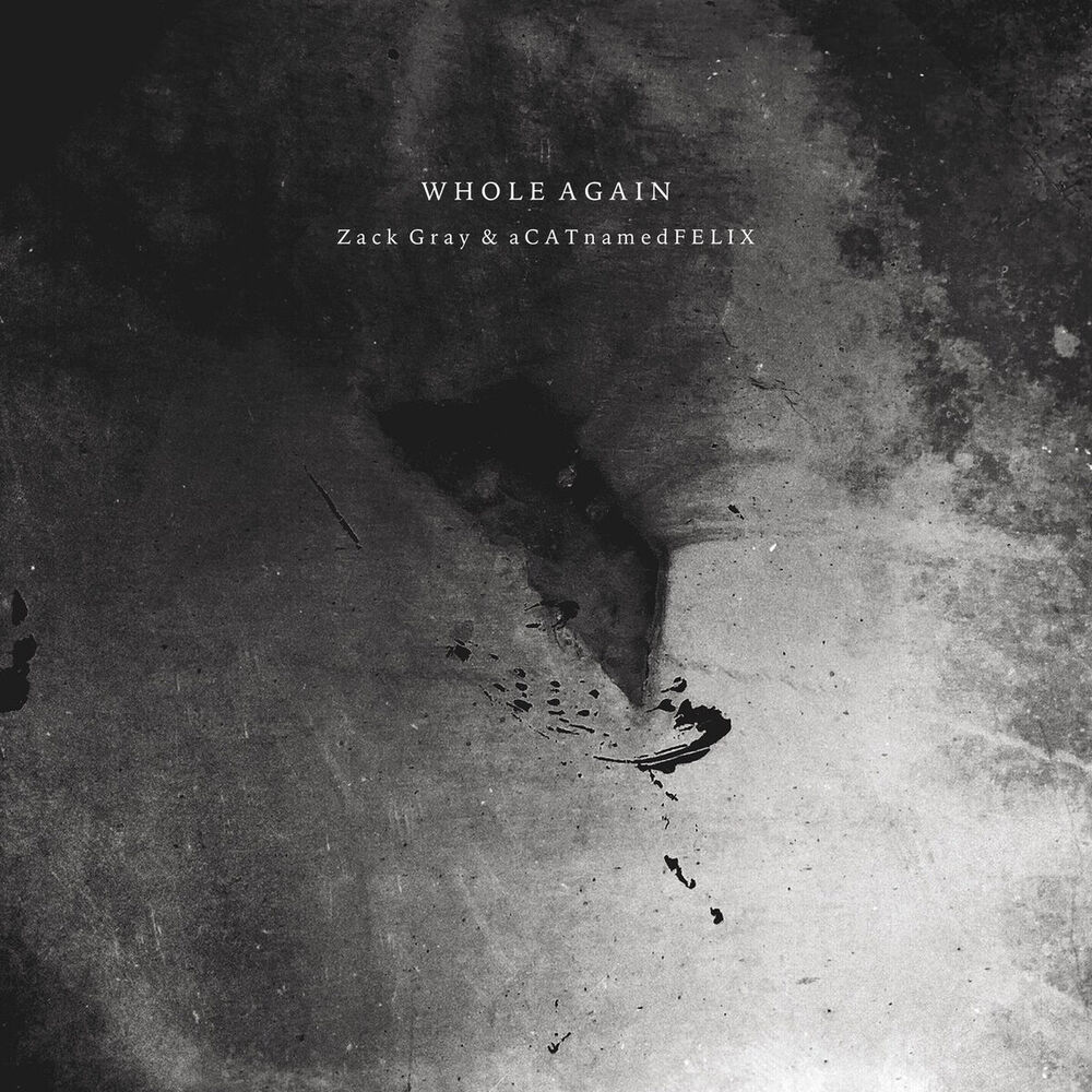 Picture of Whole Again