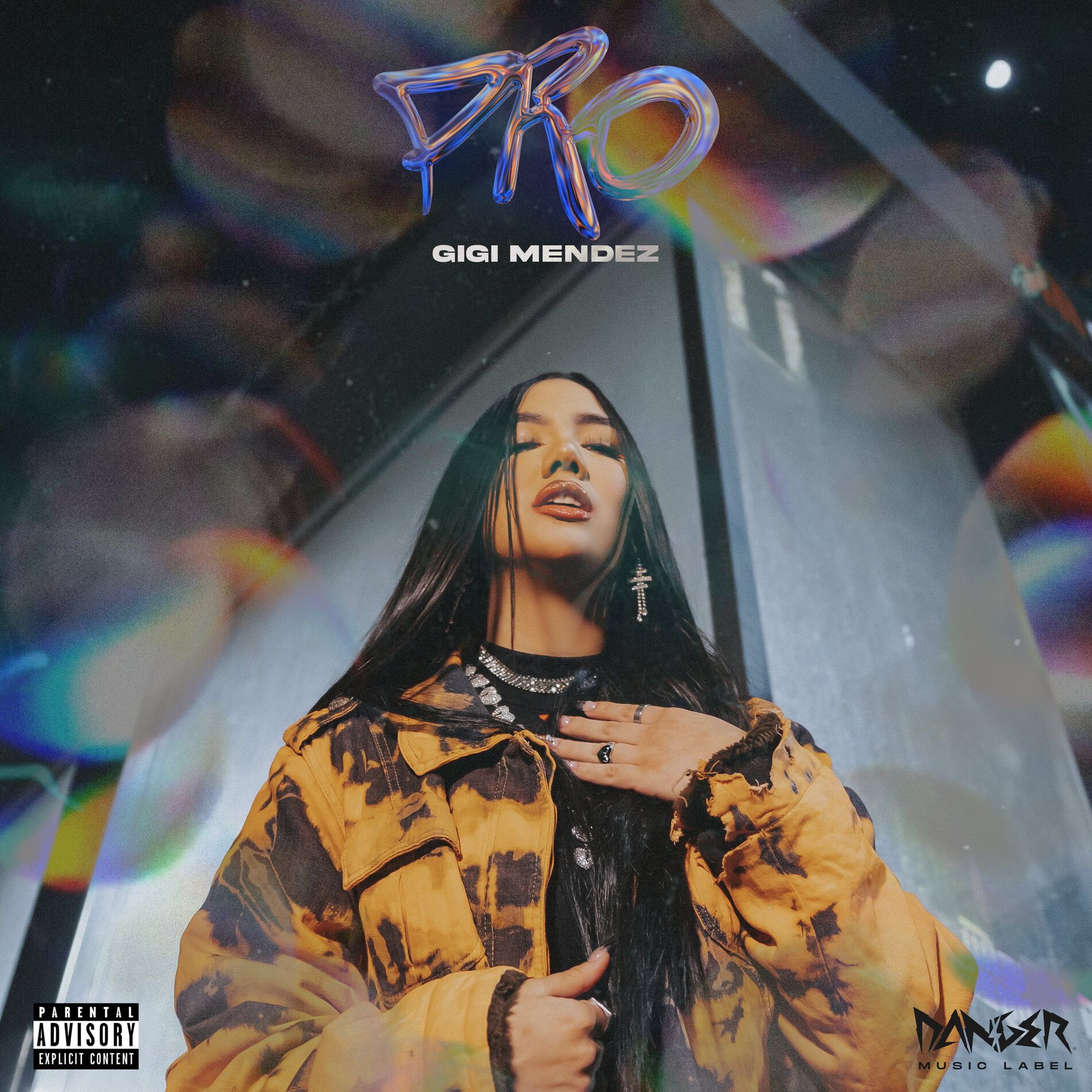 Album cover of P.R.O