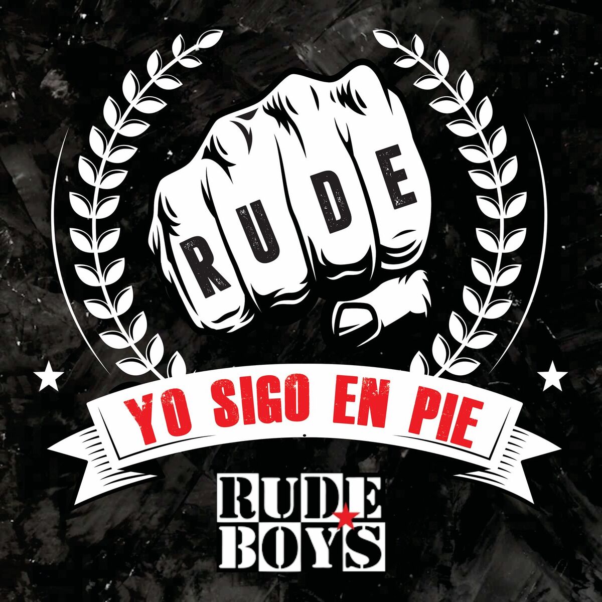 Album cover of Yo Sigo en Pie