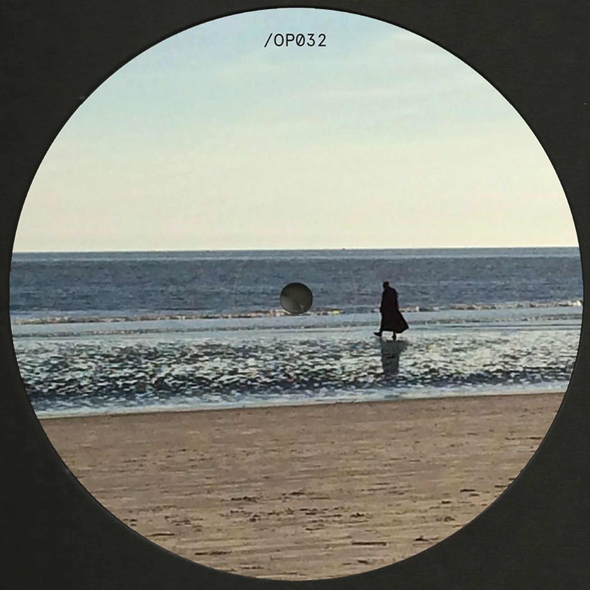 Album cover of Swim