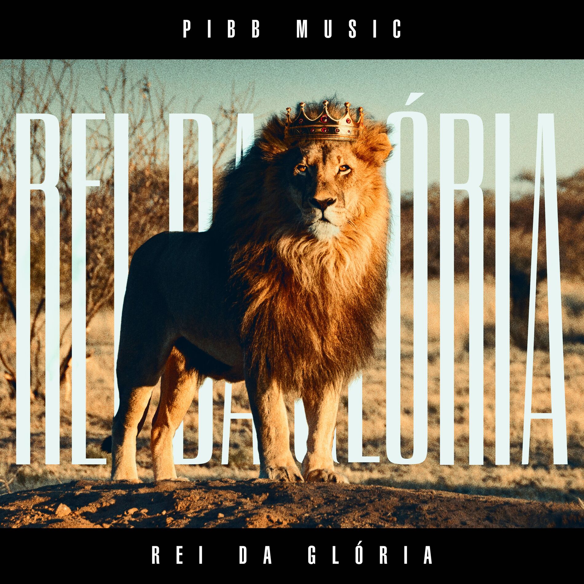 Album cover of Rei da Glória