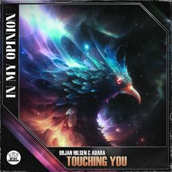 Cover of Touching You