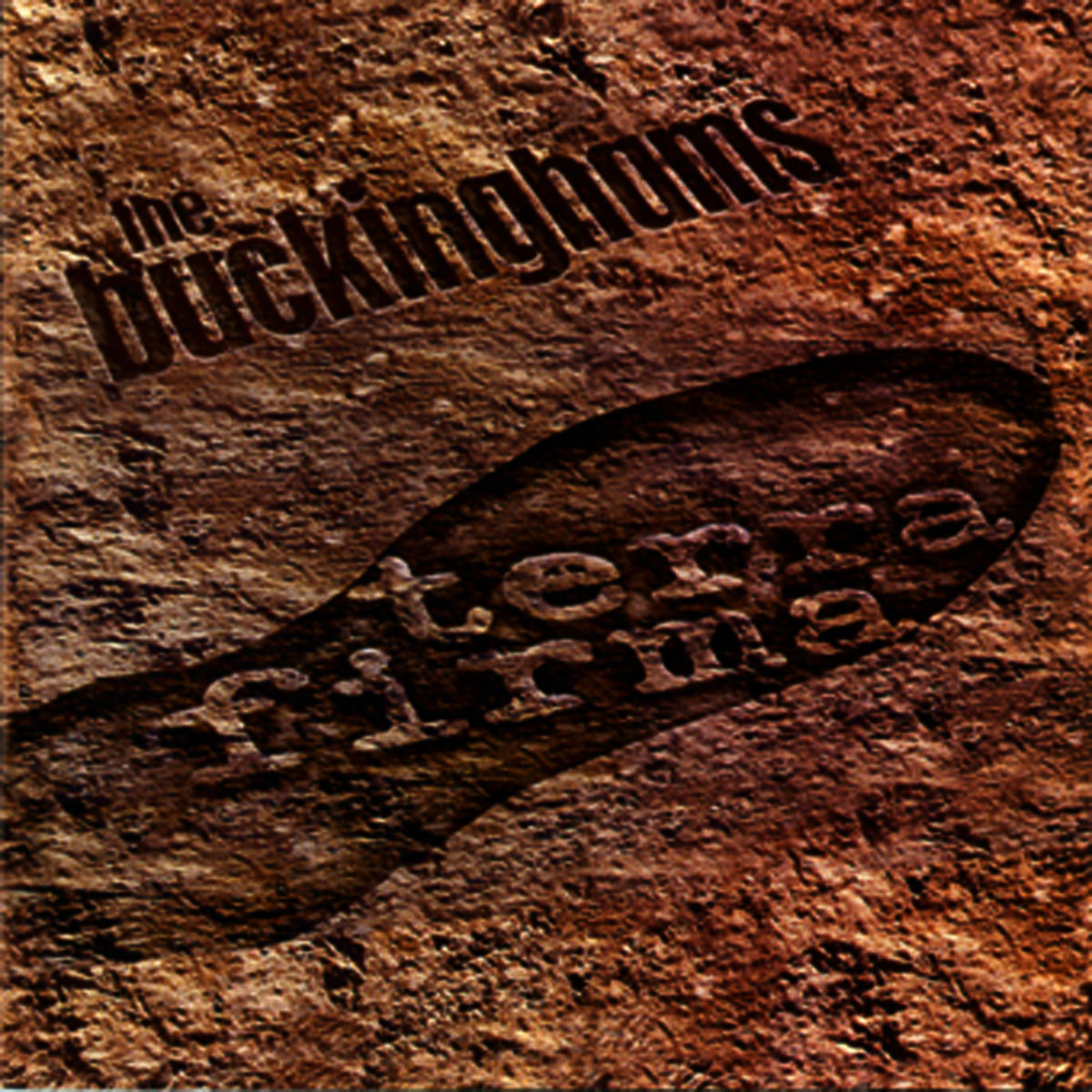 Album cover of Terra Firma