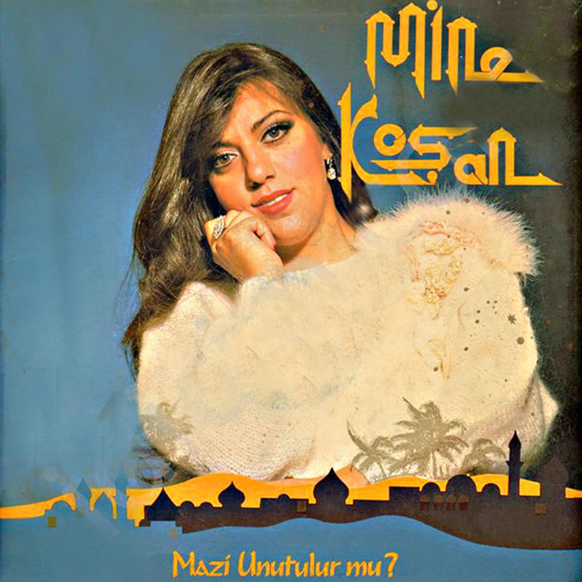Album cover of Geceler / Mazi Unutulur mu