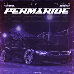 Cover of Permaride