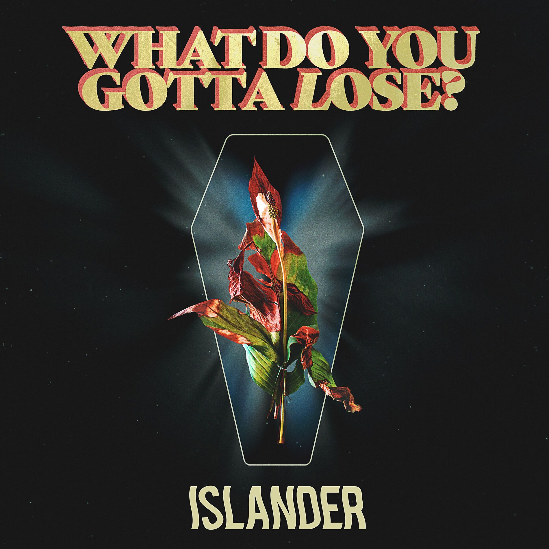 Album cover of What Do You Gotta Lose?