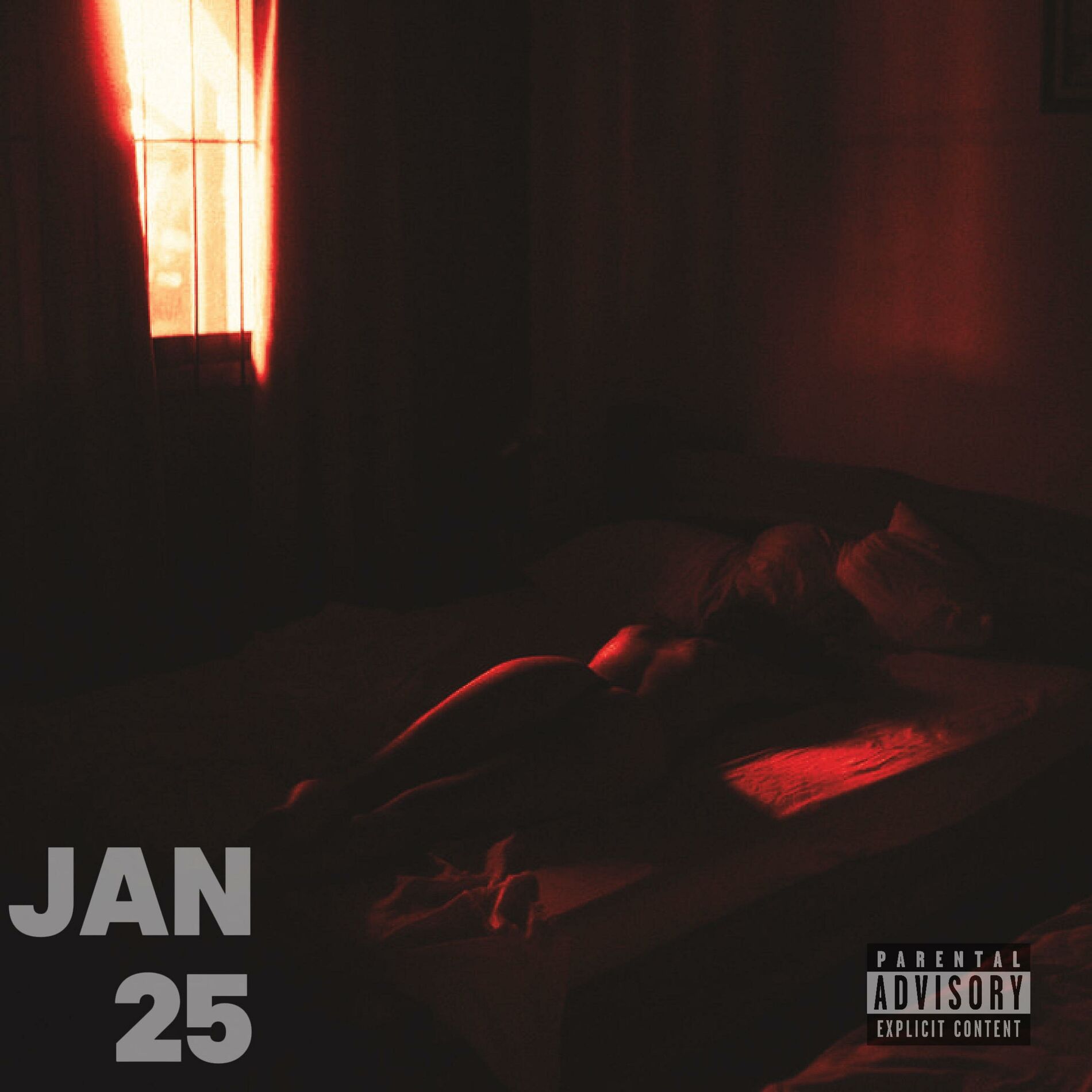 Album cover of January 2k25 Samples (Instrumentals)