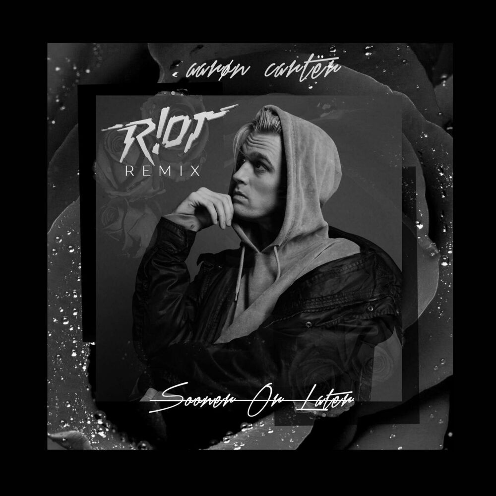 Picture of Sooner Or Later (R!OT Remix)