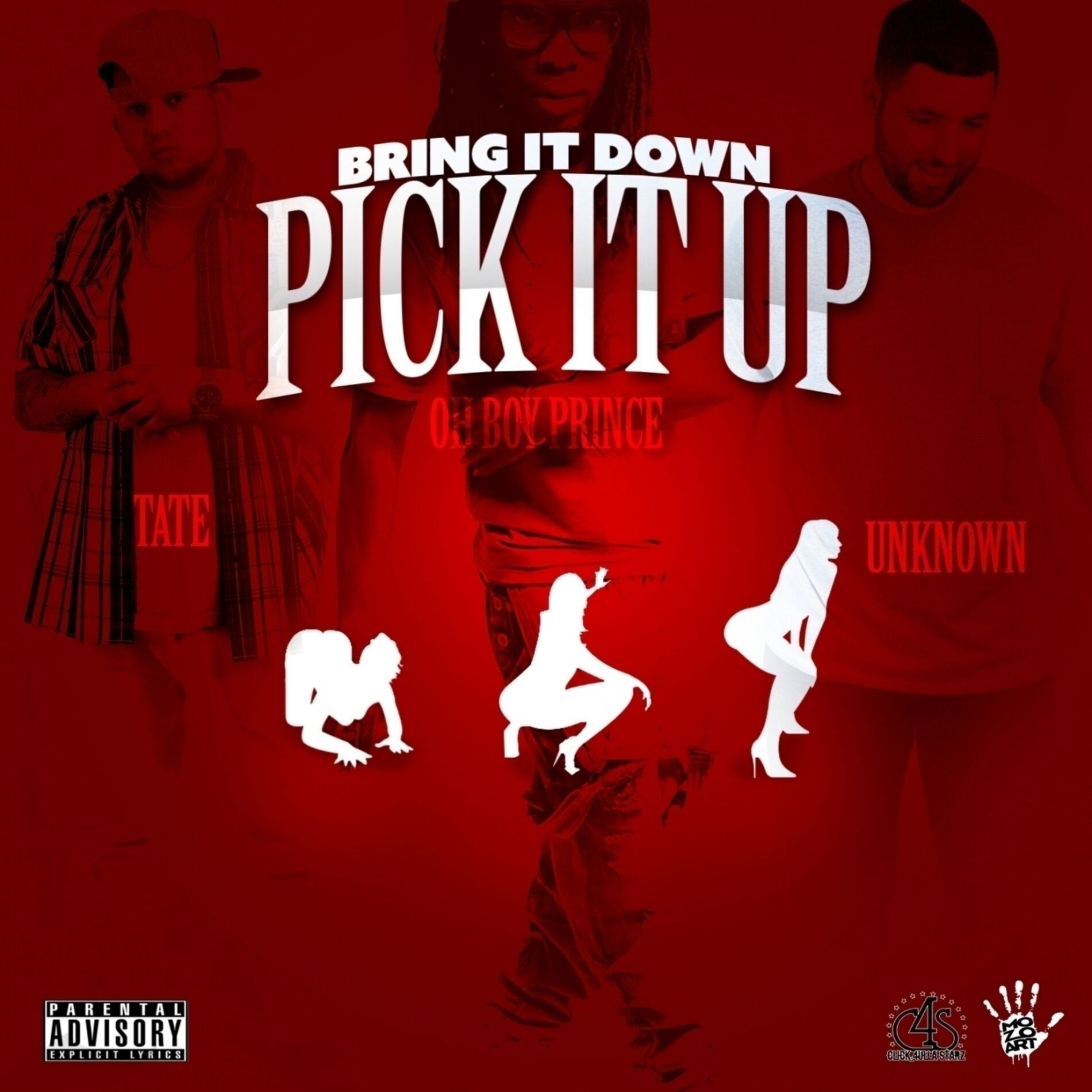 Album cover of Bring It Down Pick It Up