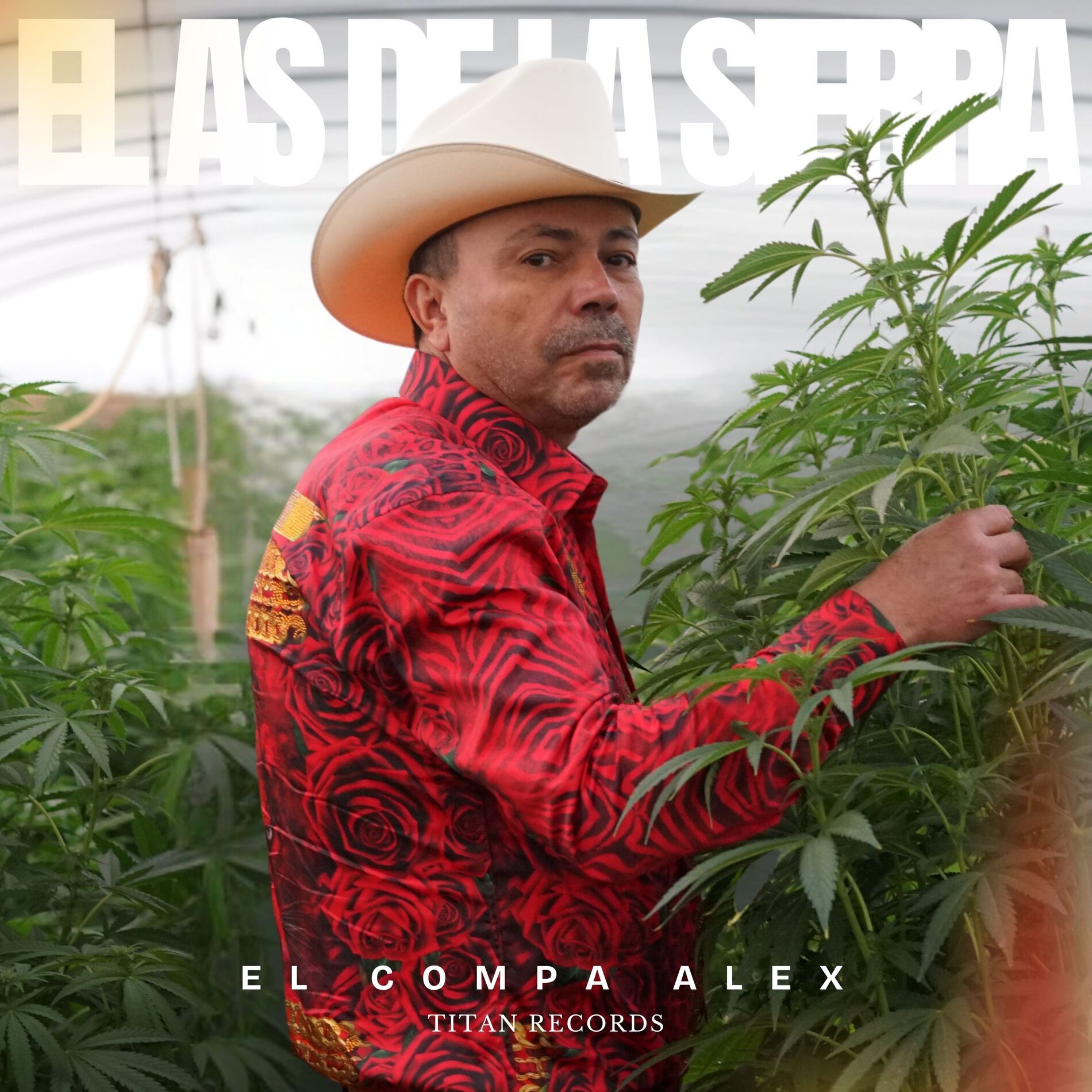 Album cover of El Compa Alex