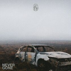 Cover of Never gone (solo live)