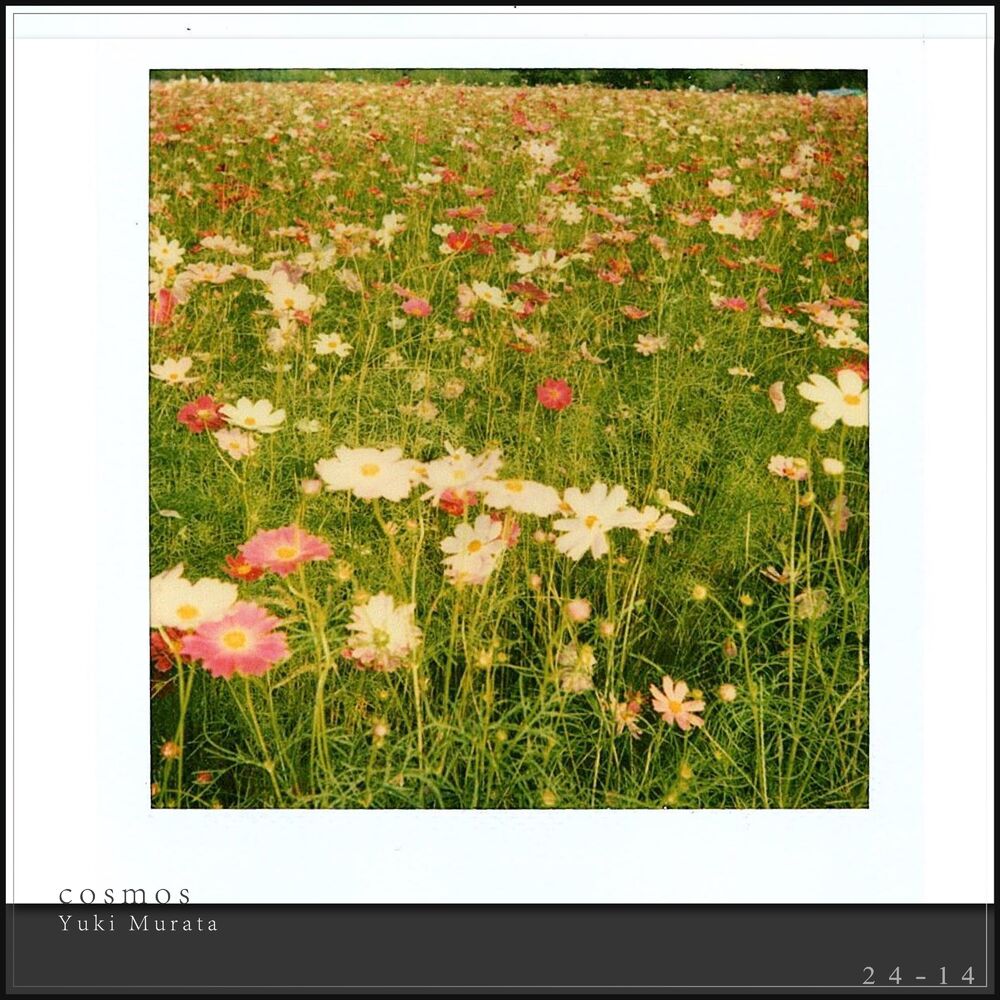 Picture of cosmos