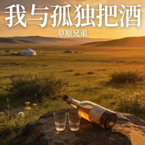 我与孤独把酒 (忘不了她也爱不了别人语录版)