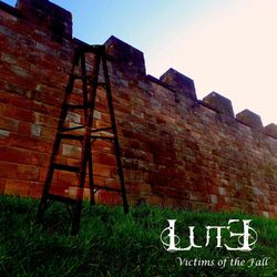 Cover of Victims of the Fall