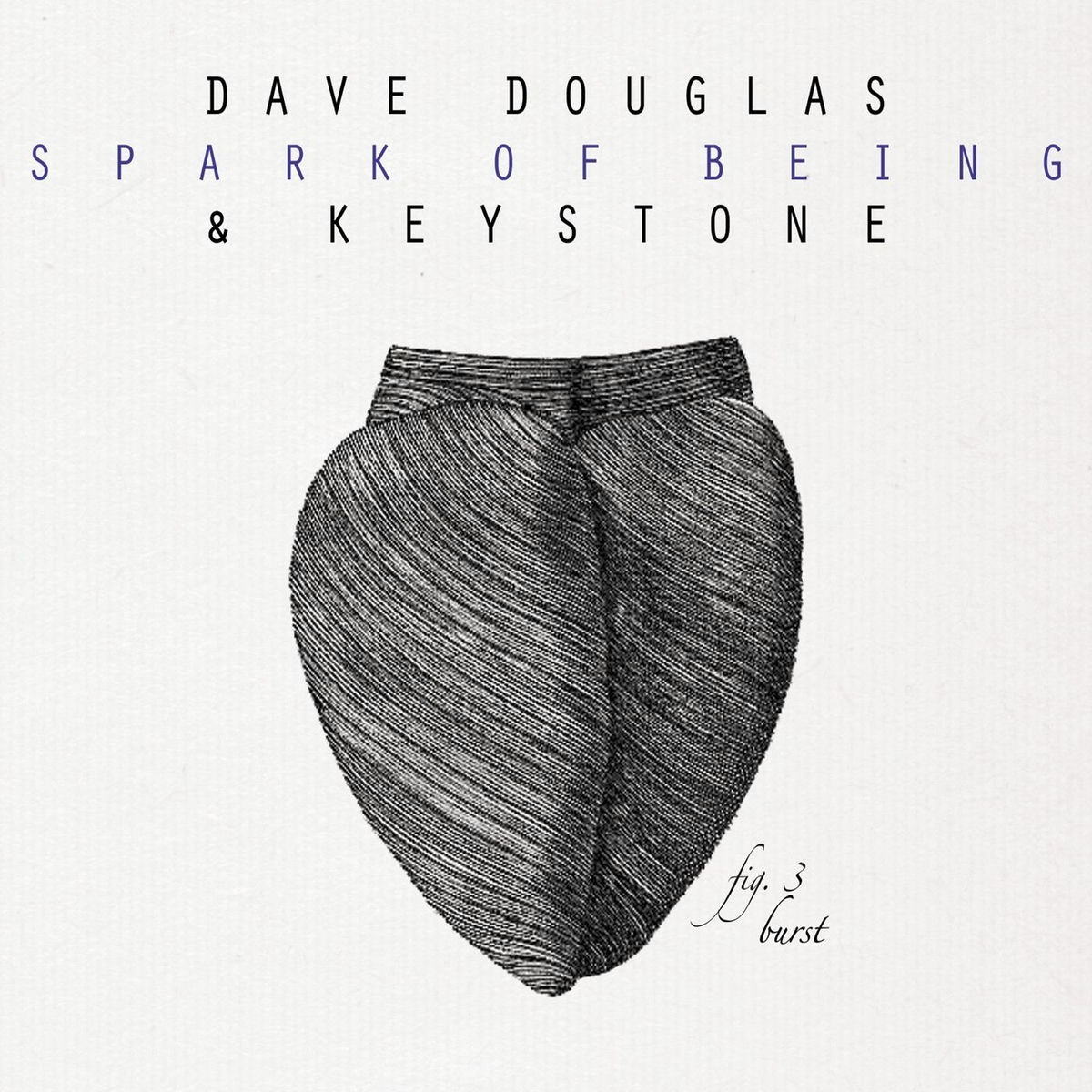 Album cover of Spark of Being: Burst