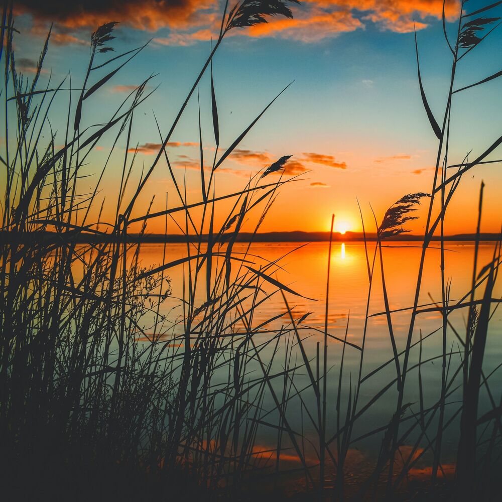 Picture of 50 Ambient Songs for Relaxation & Vibes