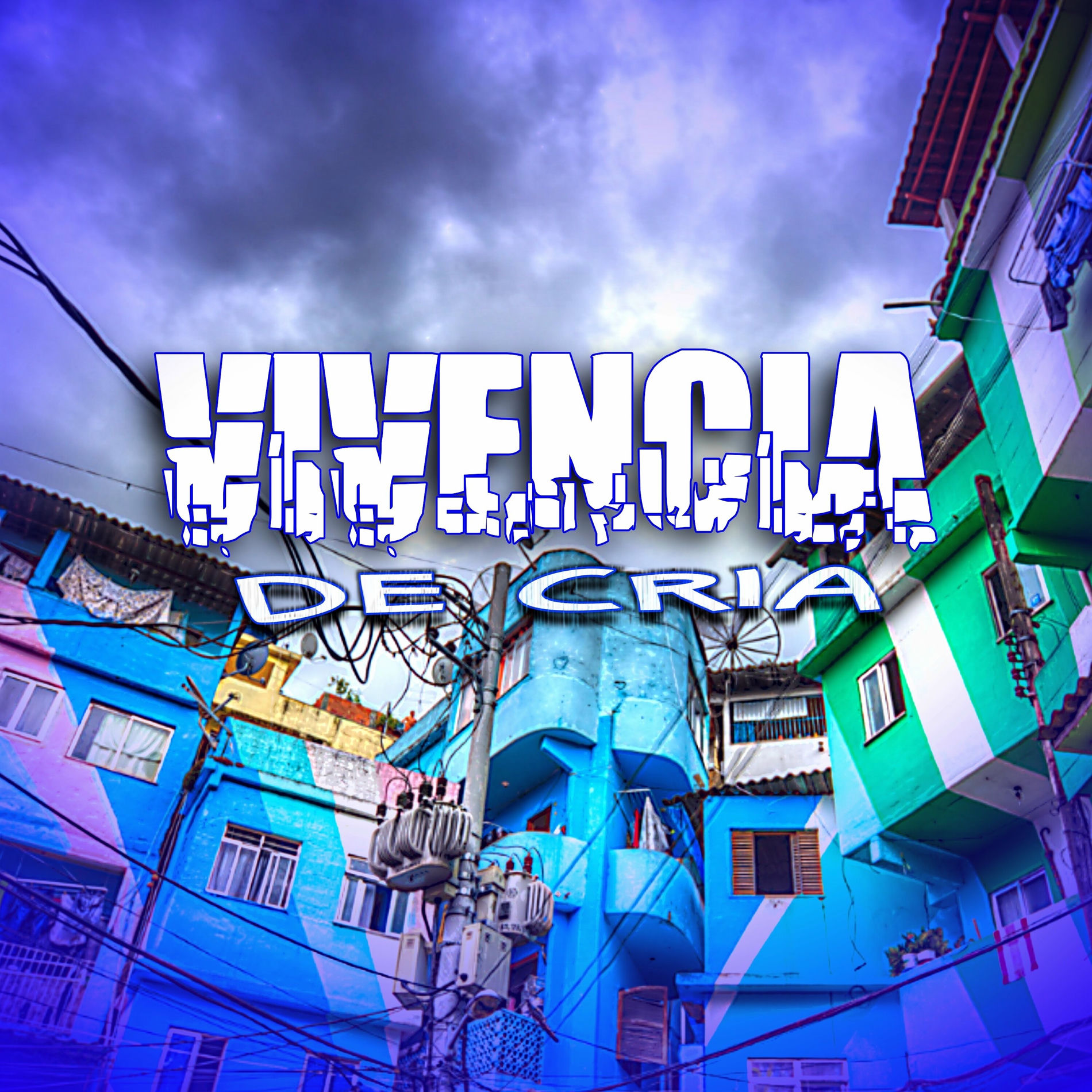 Album cover of Vivência de Cria