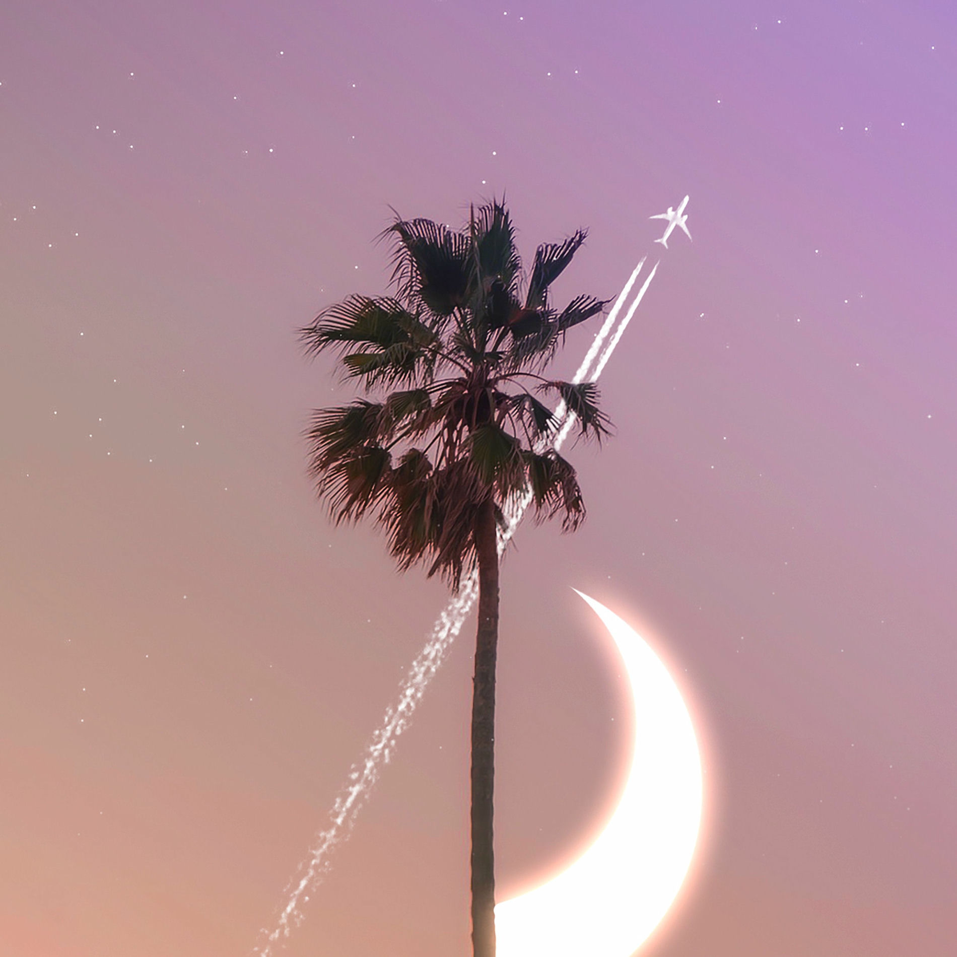 Album cover of Star Valley