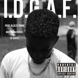 Cover of I.D.G.A.F.