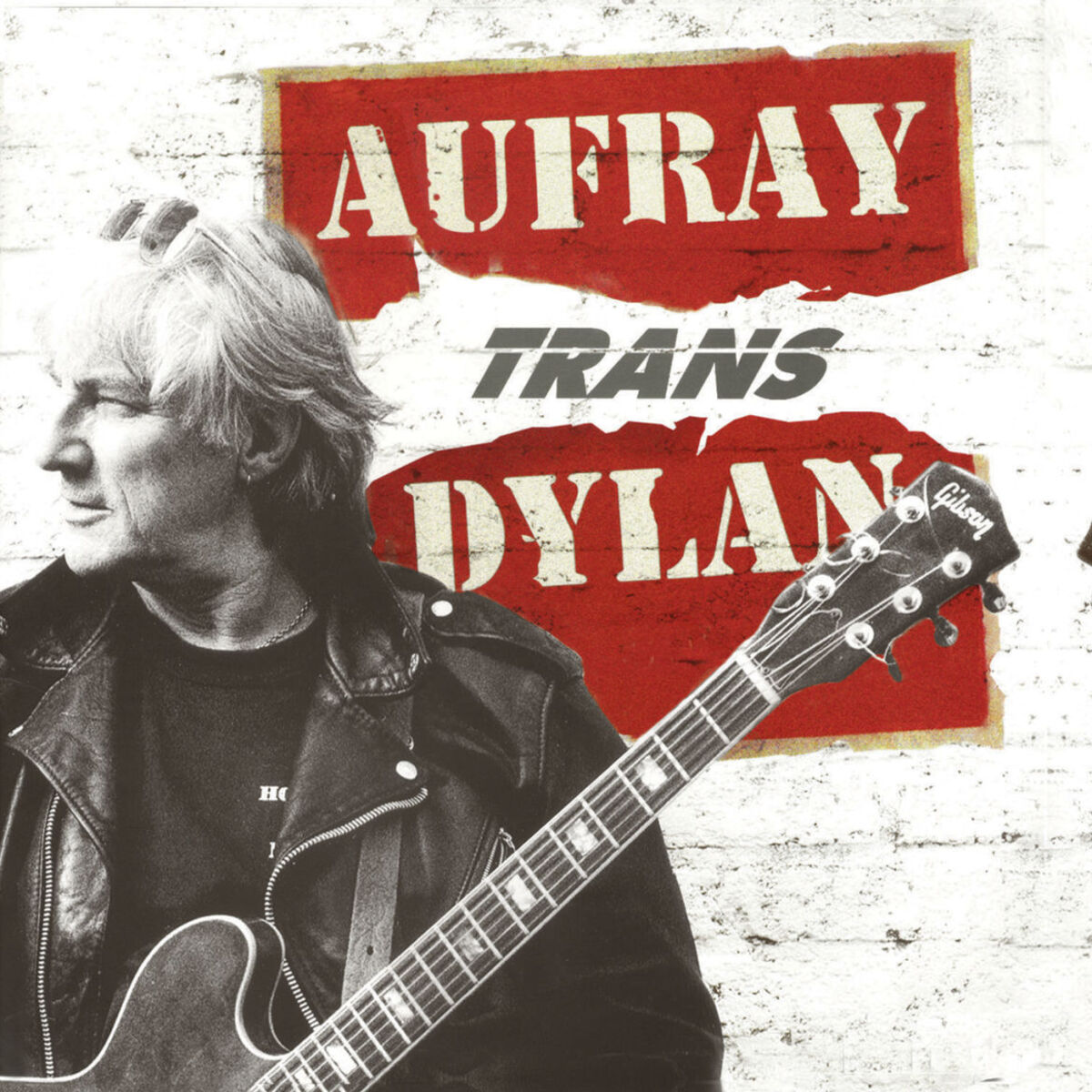 Album cover of Aufray Trans Dylan