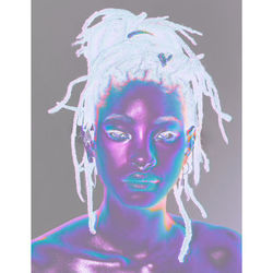 Cover of WILLOW