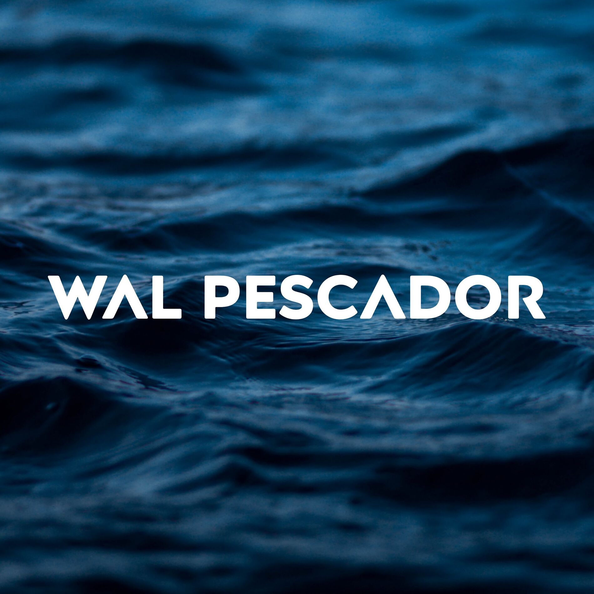 Album cover of Wal Pescador