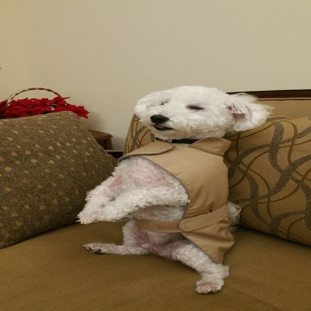 Picture of BOMP