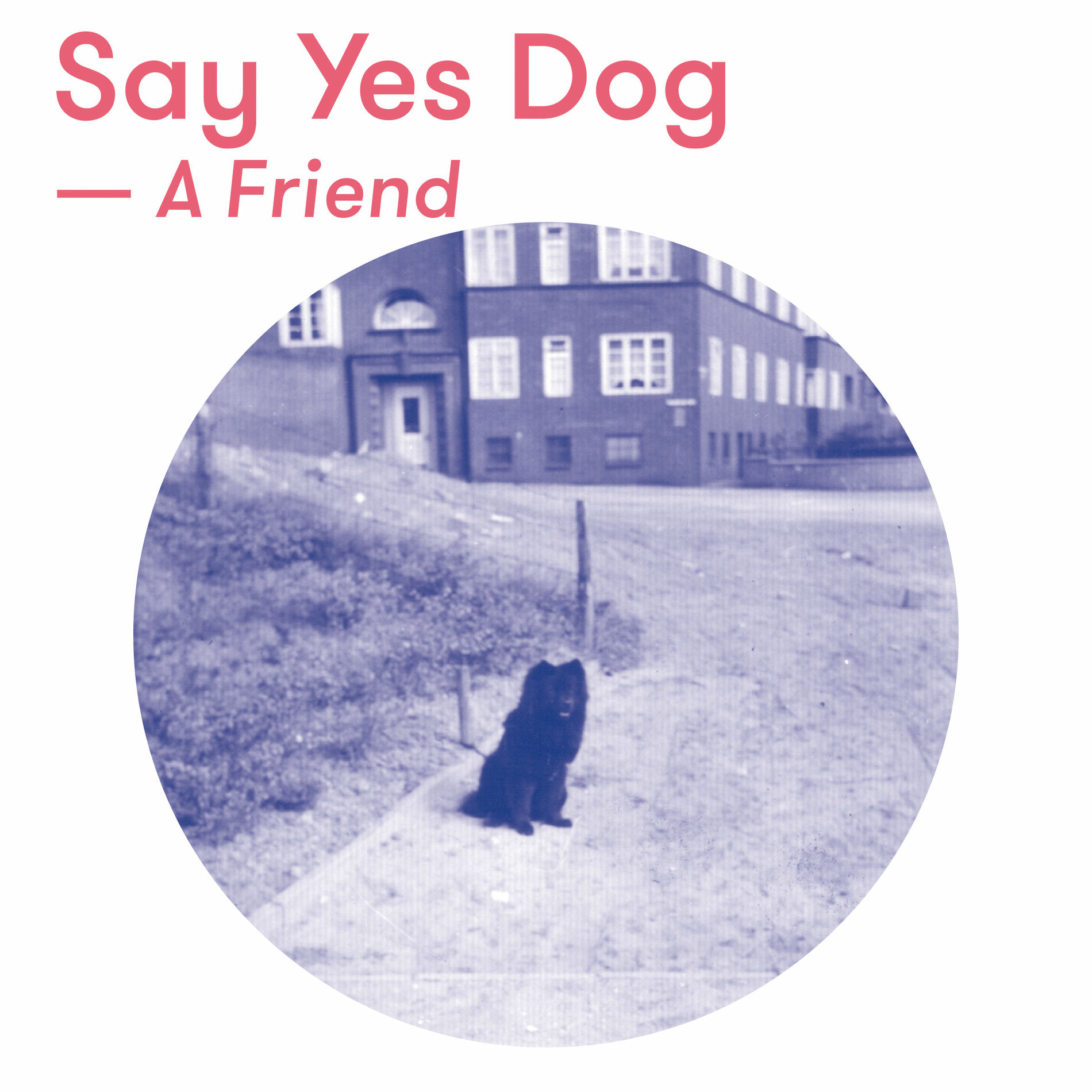 Album cover of A Friend