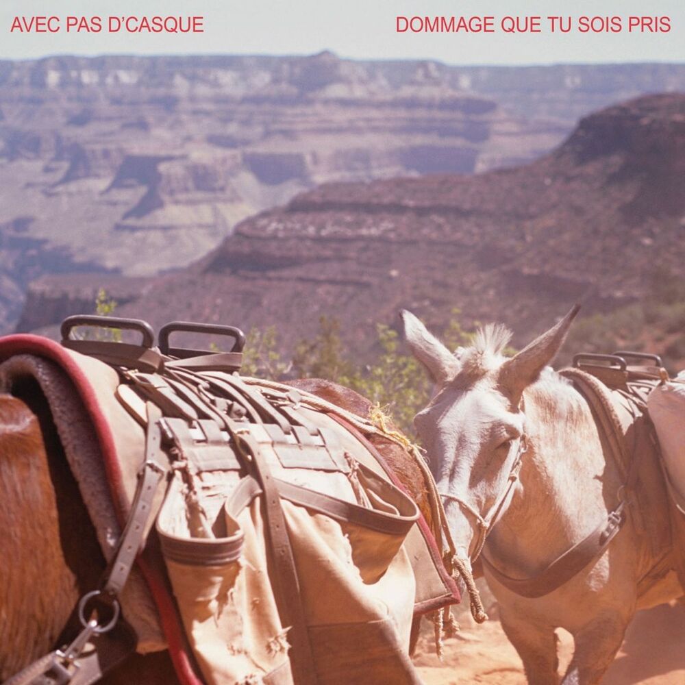Picture of Dommage que tu sois pris