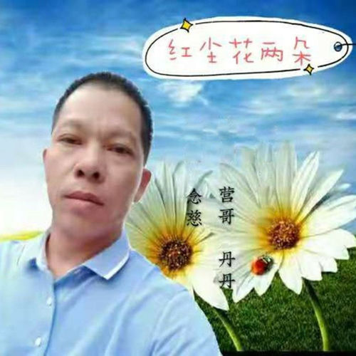 红尘花两朵