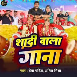 Cover of Shadi Wala Gana