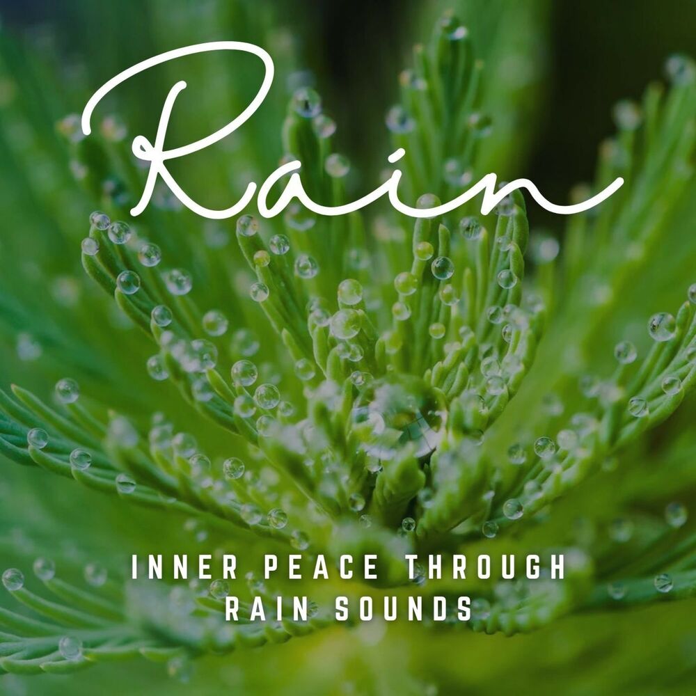 Picture of Raindrop Reflections: Inner Peace through Rain Sounds