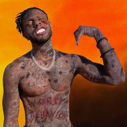 Cover of Worst Behavior